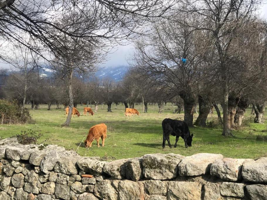 Guadarrama, Atico Nuevo Con Espectaculares Vistas Apartman Kültér fotó