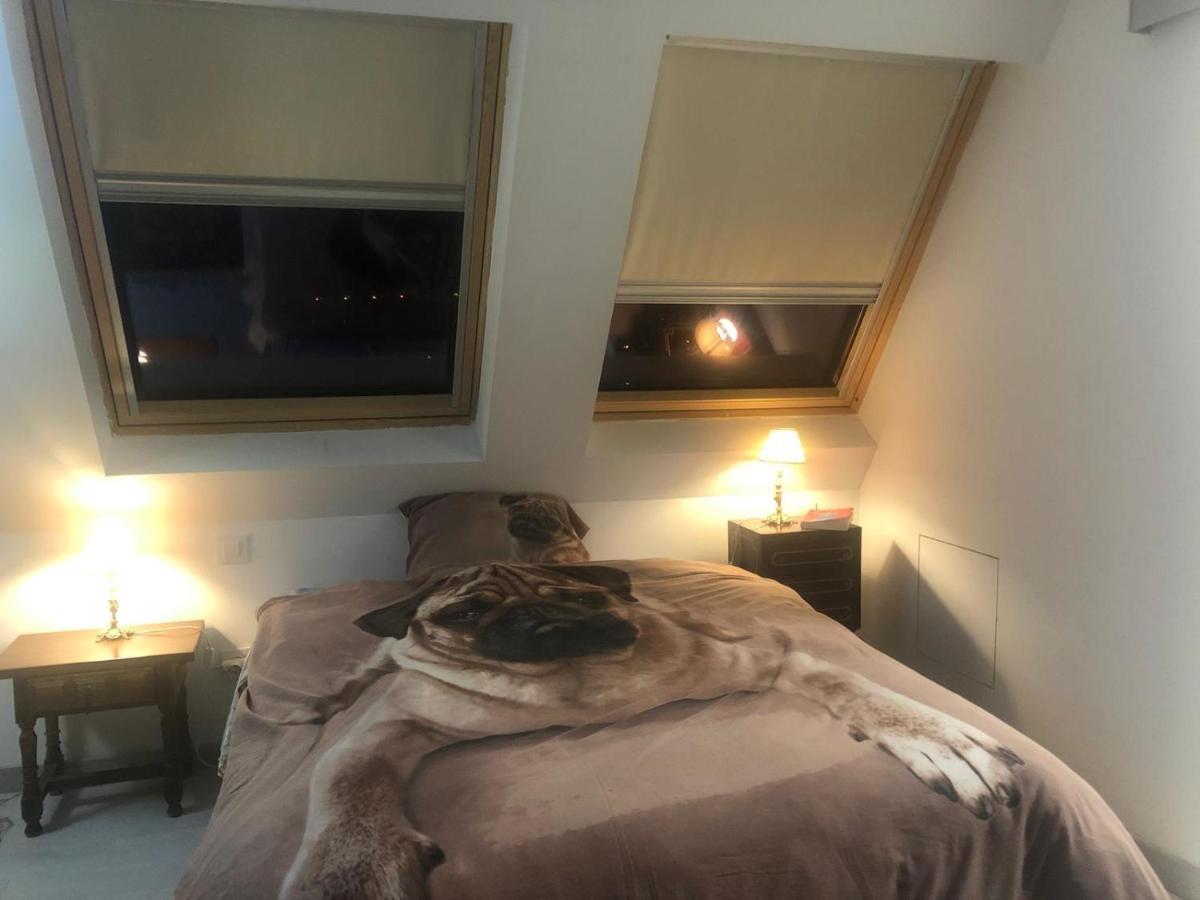 Guadarrama, Atico Nuevo Con Espectaculares Vistas Apartman Kültér fotó